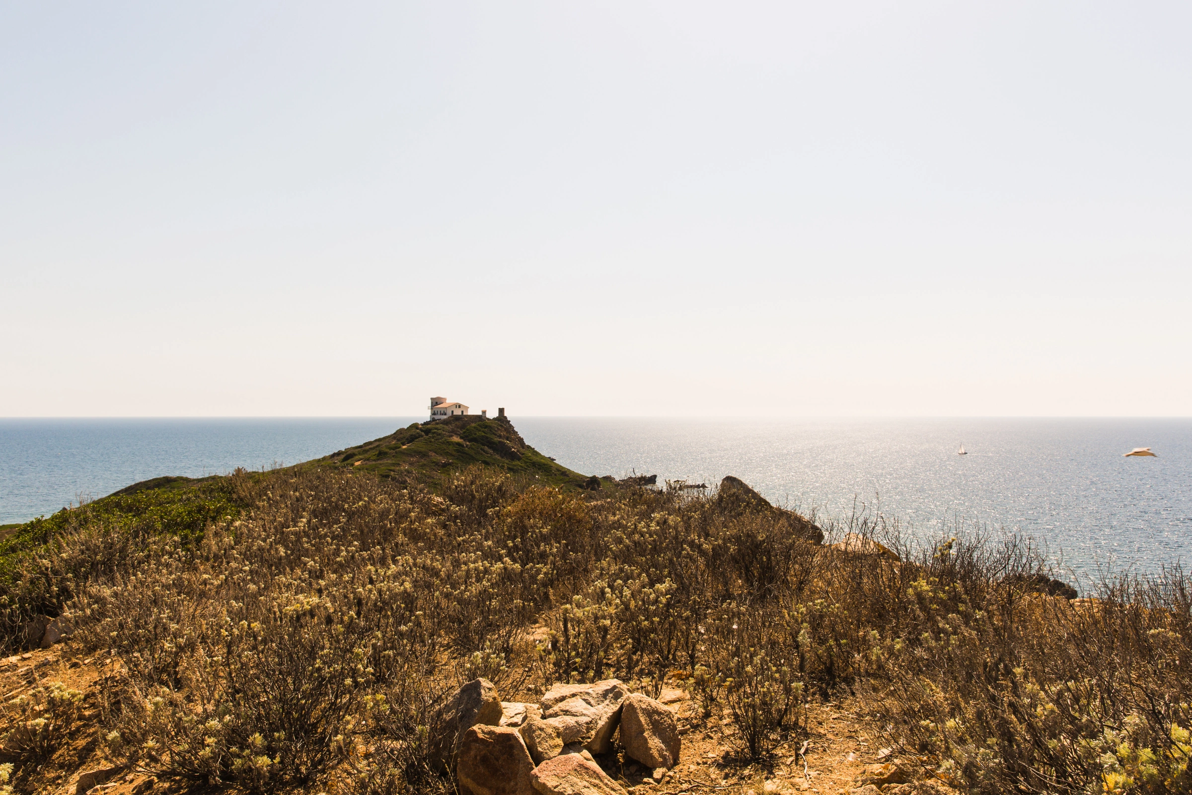 Summer_Isles_Archipelago[1].webp